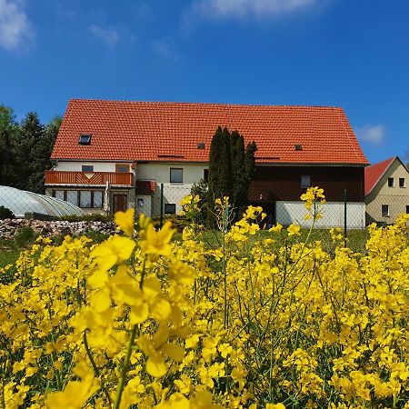Alte Schaeferei Bad Gottleuba Vila Exterior foto