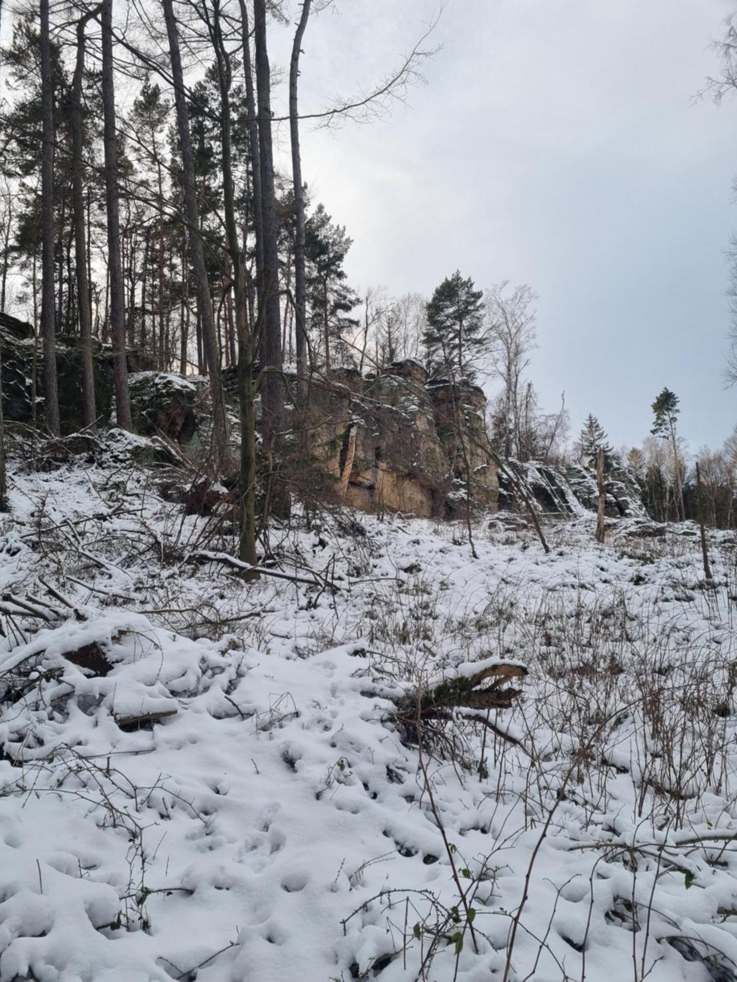 Alte Schaeferei Bad Gottleuba Vila Exterior foto