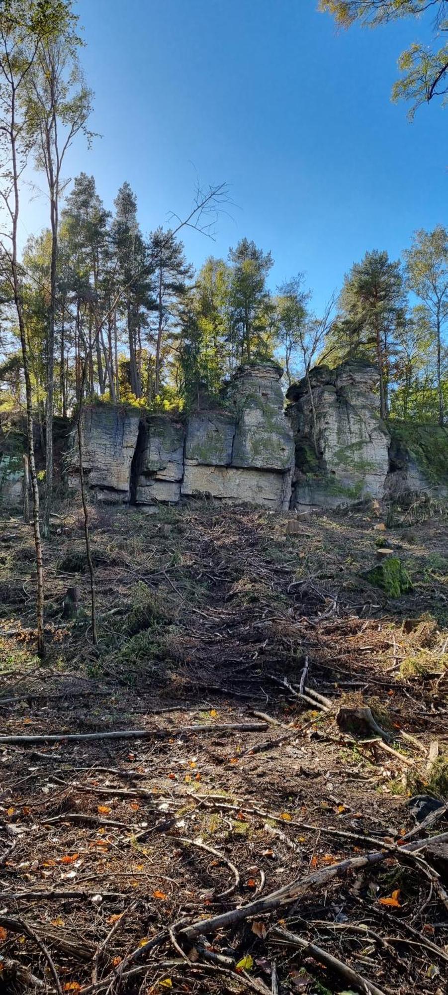 Alte Schaeferei Bad Gottleuba Vila Exterior foto